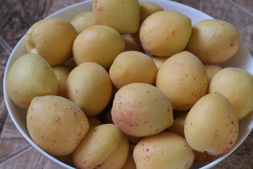 fresh apricots 
