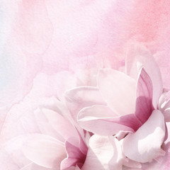 watercolor and flowers abstract background