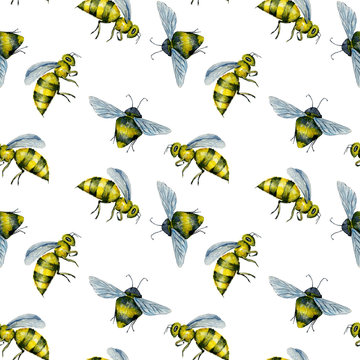 Seamless pattern with watercolor bees, hand drawn isolated on a white background