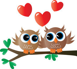 two owls in love