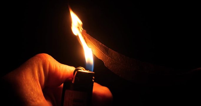 Bush fire arson conceptual with cigarette lighter slow motion