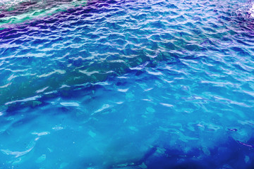 abstract blue water background, rippling waves