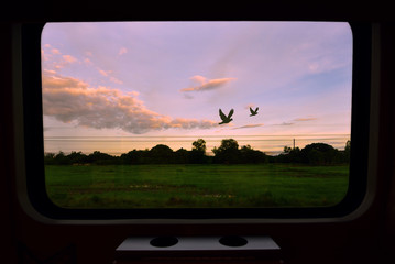 Naklejka premium Widok z okna pociągu z widokiem na wschód słońca z ptakami