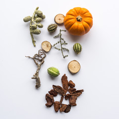 halloween décoration