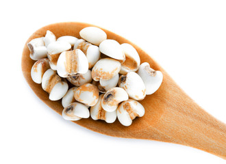 Job's tears in wood spoon on white background