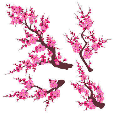 Pink Plum Blossom Branch Set