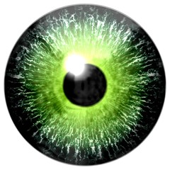 Green eye texture with white background