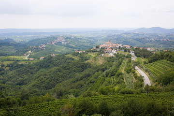 San Martino / Smartno wine region of Brda, Slovenia