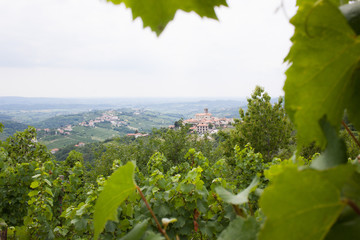 San Martino / Smartno wine region of Brda, Slovenia