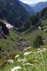 alpine landscape