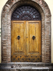 Cat in front of the door 1