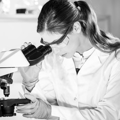 Life scientists researching in laboratory. Attractive female young scientist microscoping in their...