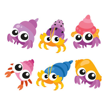 Hermit Crab Vector Collection Design