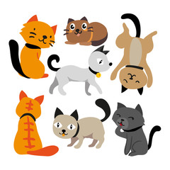 cat vector collection design