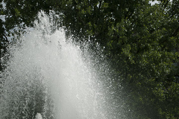 Large top of fountain jet gushing upwards against green foliage