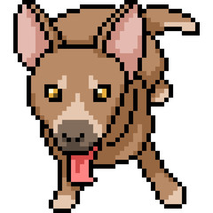 Fototapeta premium vector pixel art dog pet