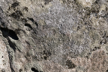 graye wall texture or background 