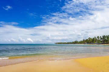 sea surf on the beach