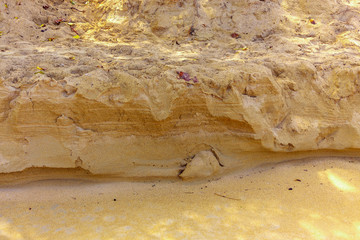 Sandy wall on the beach