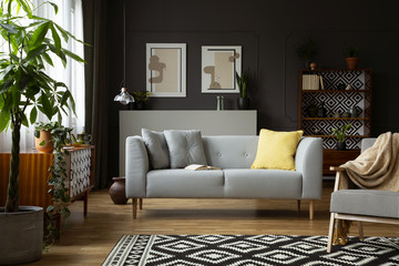 Armchair with blanket on carpet in living room interior with grey couch and posters. Real photo