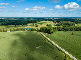 drone image. aerial view of rural area with green cultivated fields