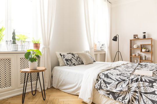 Real photo of a bedside table with a plant, bed with pillows and windows decorated with white curtains