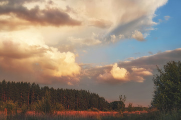 Naklejka premium Cloudy evening summer sky over the forest valley of the reserved places of Russia. Landscape at sunset, field and grass.