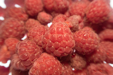 bright colorful raspberry on a white background