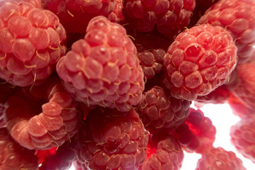 bright colorful raspberry on a white background