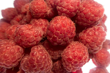 bright colorful raspberry on a white background