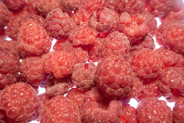 bright colorful raspberry on a white background