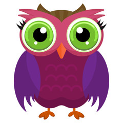 Colorful owl on white background