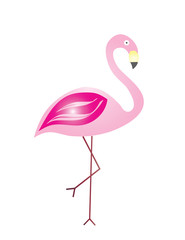 pink flamingo vector illustration on white background