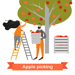 Two funny cartoon characters are picking apples in the garden. Harvest time. Vector illustration on a white background