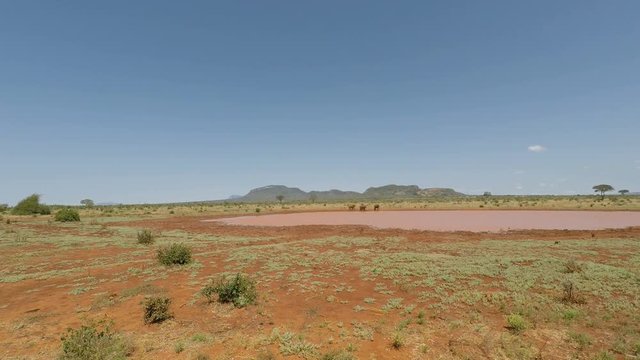 red elephants of kenya