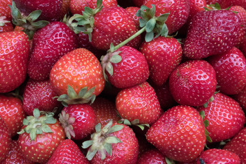 bright large red strawberry