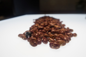 beans on white background