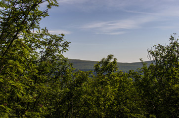 Fototapeta na wymiar panorama Bieszczad z Wielkiej Rawki 