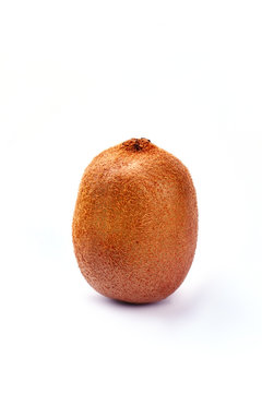 Whole organic kiwi fruit. A single kiwi fruit against a grey background, vertical image. Kiwi for good health.