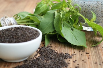 Fresh basil with seed