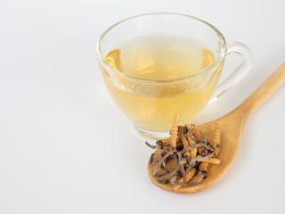Group of Ophiocordyceps sinensis or mushroom cordyceps this is a herbs placed on wooden spoon in front of a glass of cordyceps water. on isolated background. National organic medicine.