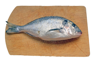 fresh dorado fish lies on a cutting board