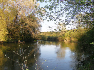 Fototapeta na wymiar Spring landscape with a river, trees.