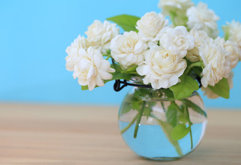 Beautiful jasmine flower in the pot on green blur background..