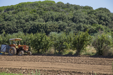 image of an agricultural tractor in the countryside during the harvest with land to be cultivated