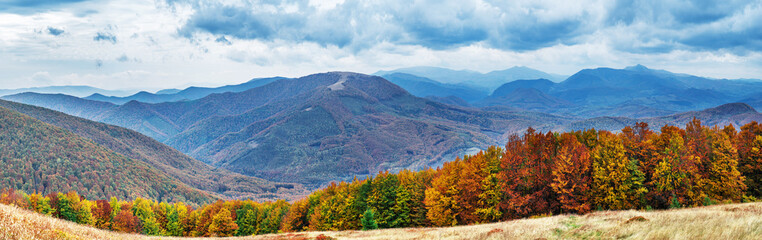 Panorama of colorful trees in the autumn mountains.