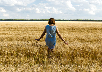 Naklejka na ściany i meble The girl is on the yellow wheat field. White clouds and blue sky in the background.