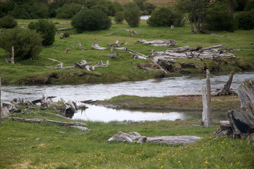 Landscape in Tierra del Fuego National Park, Patagonia, Argentina