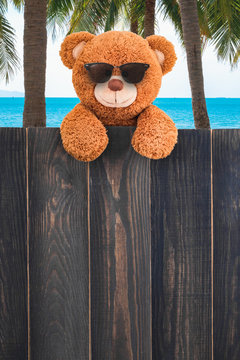 Cute teddy bear
