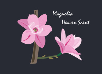 Magnolia Heaven Scent vector